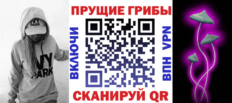 как найти   Болохово  Галлюциногенные грибы прущие грибы 